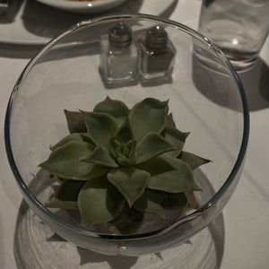 Meet your Posher, Djulicia